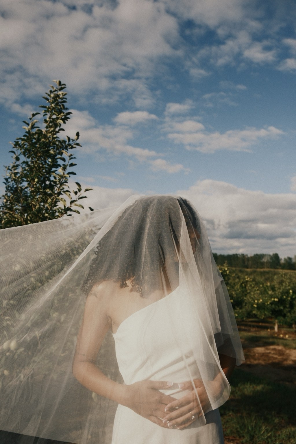Bride beneath her veil under a blue sky